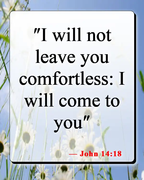 Bible Verses About Feeling Lost And Alone (John 14:18)