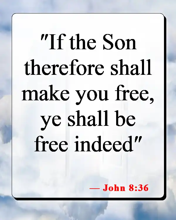 Bible Verses About The Son Of God (John 8:36)
